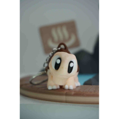 Pat the Tortoise Keychain — photo 1