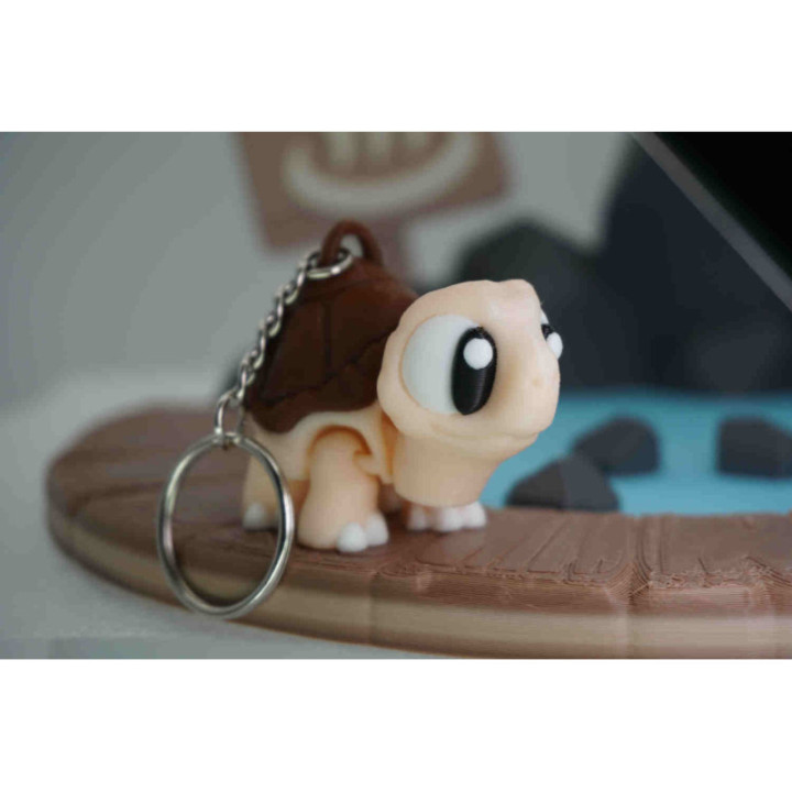 Pat the Tortoise Keychain — photo 2