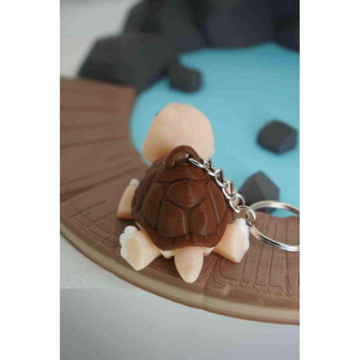 Pat the Tortoise Keychain — photo 3