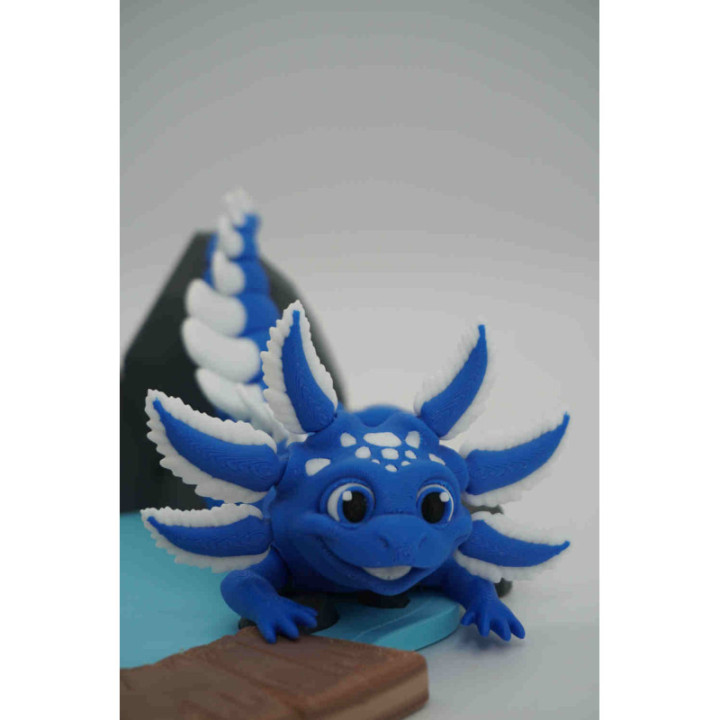 Meet Glacier the Axo-Dragon — photo 1