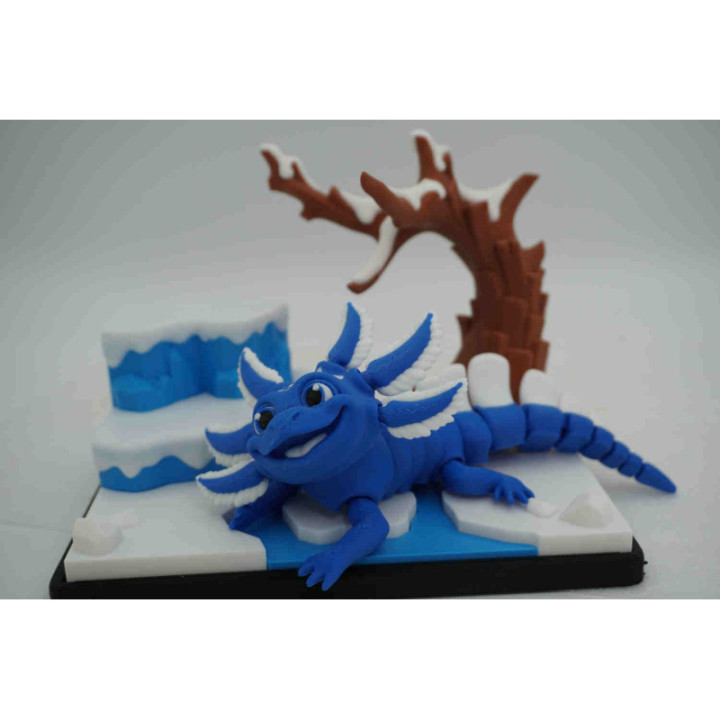 Meet Glacier the Axo-Dragon — photo 2