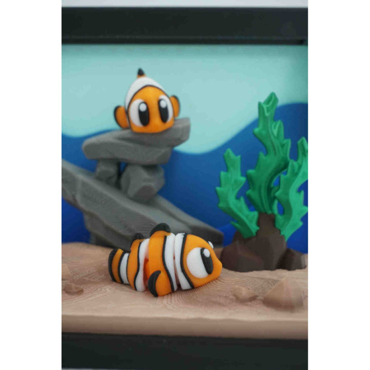 Finn the Clown Fish — photo 1