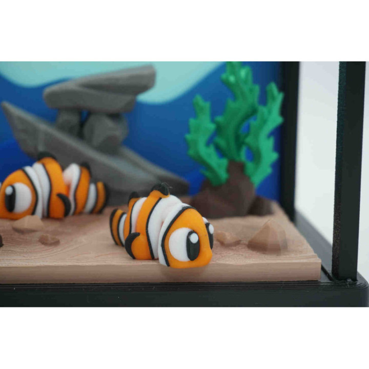Finn the Clown Fish — photo 2