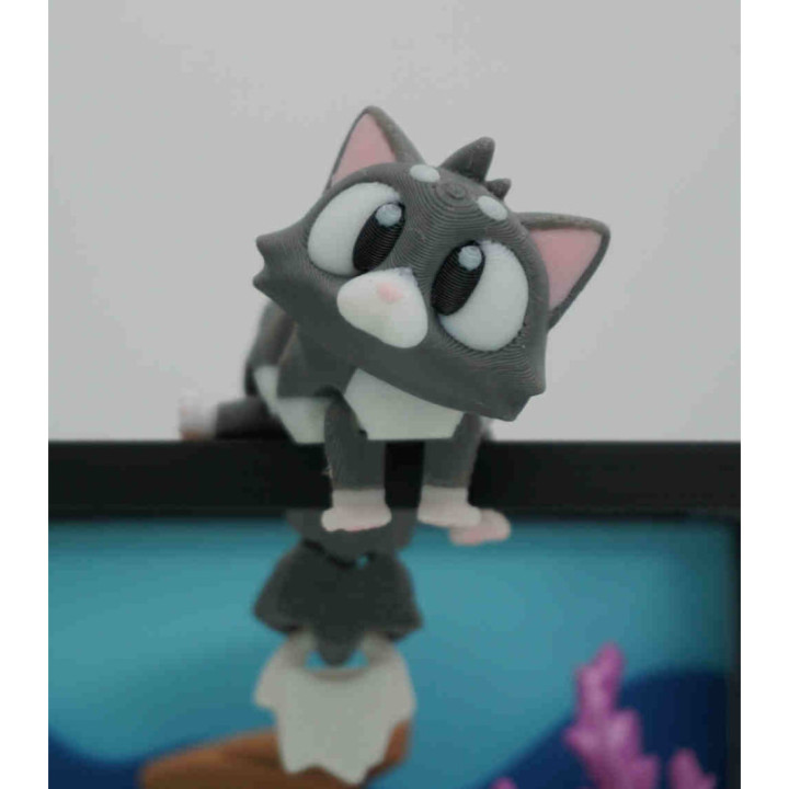 Fluffums — photo 1